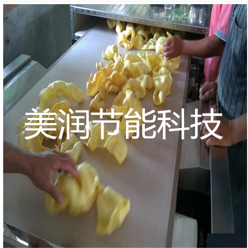 特氟龍網格帶 微波輸送帶