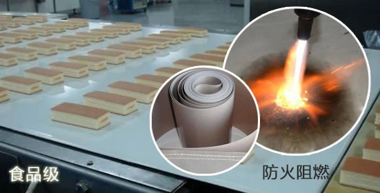 耐高溫網格特氟龍輸送帶