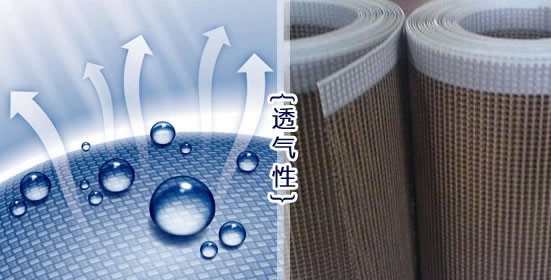 耐高溫網格特氟龍輸送帶